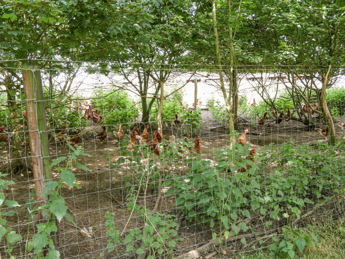 Glebe Farm Cottage Нюри Екстериор снимка